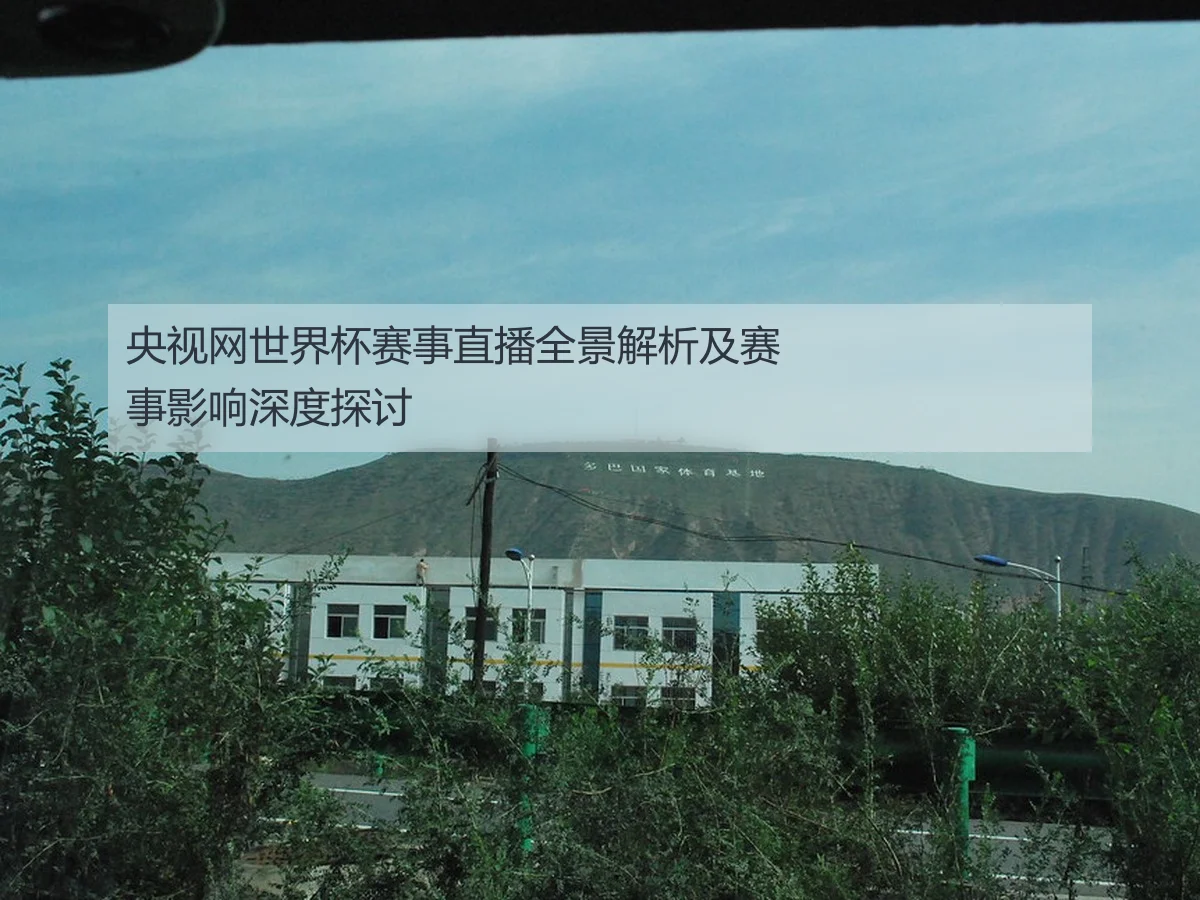 央视网世界杯赛事直播全景解析及赛事影响深度探讨